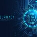 Crypto Course : (218 hours)